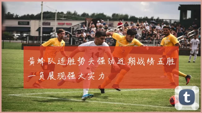 黄蜂队连胜势头强劲近期战绩五胜一负展现强大实力
